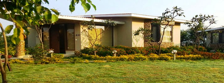 240/Corbett Tusker Trail - Corbett National Park 05.jpg